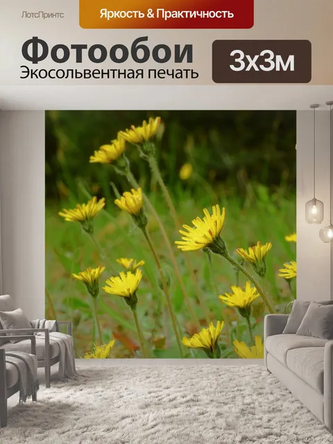 Фотообои Цветы