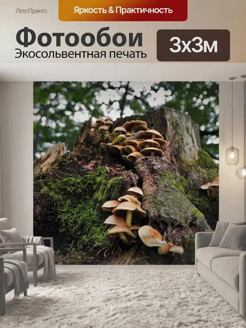 Фотообои Грибы