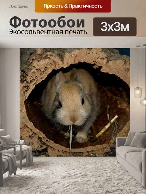 Фотообои Кролик