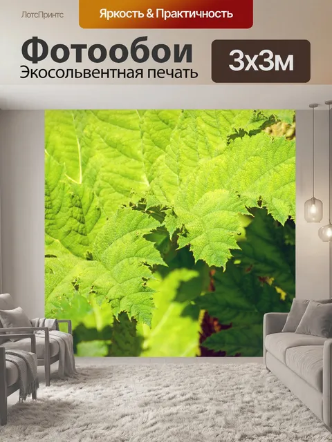 Фотообои Зеленые листья