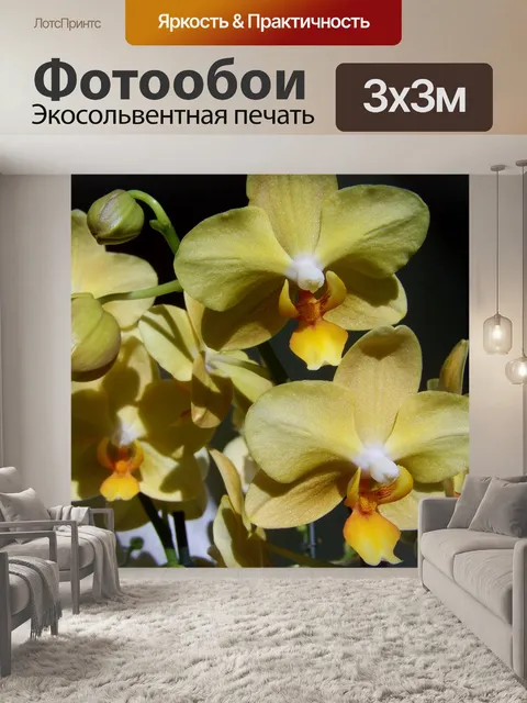 Фотообои Орхидея