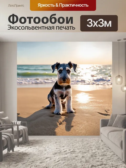 Фотообои миниатюрный шнауцер уселся на пляже, его глаза блестят, отражая солнечные блики моря