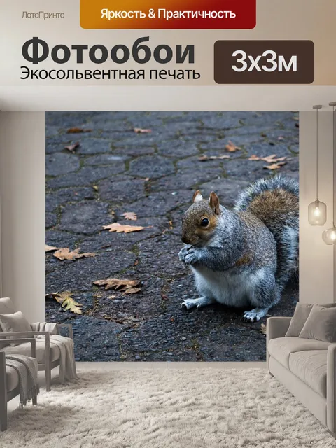 Фотообои Белка