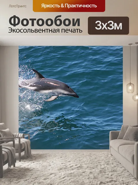 Фотообои Дельфин