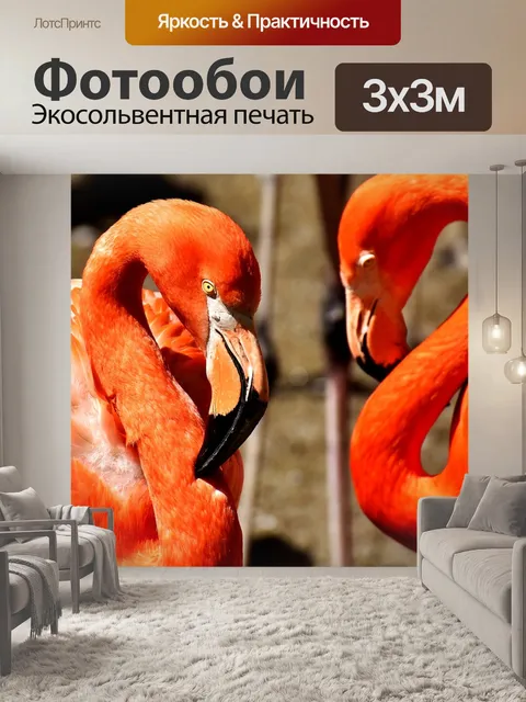 Фотообои Фламинго