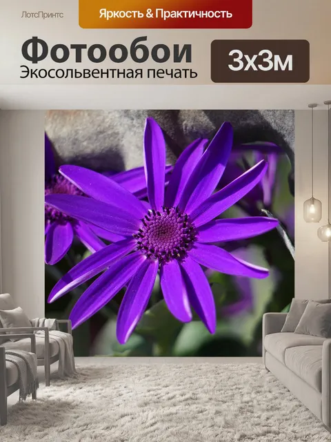 Фотообои Цветы