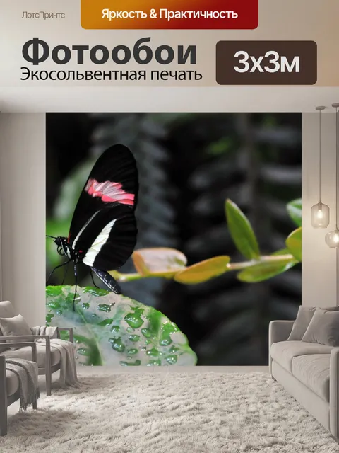 Фотообои Черный и Розовый Бабочка