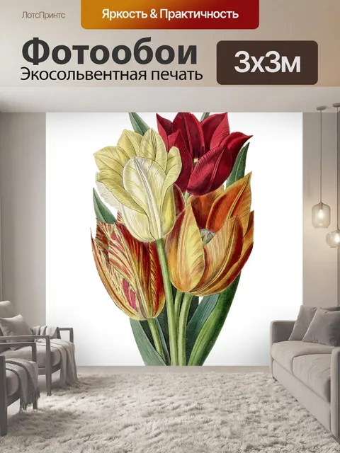 Фотообои Тюльпаны