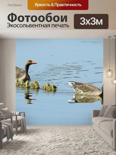Фотообои Птицы