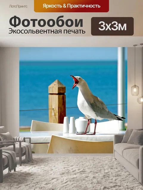 Фотообои Чайка Плач