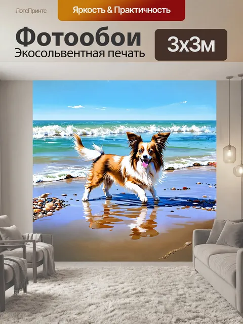 Фотообои взрослый папильон, резво играющий на берегу моря, вода играет в его шерсти, переливаясь на солнце