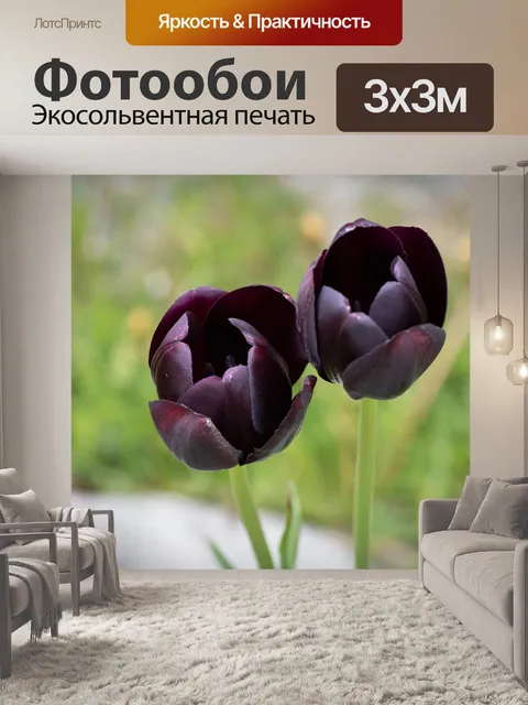 Фотообои Тюльпаны
