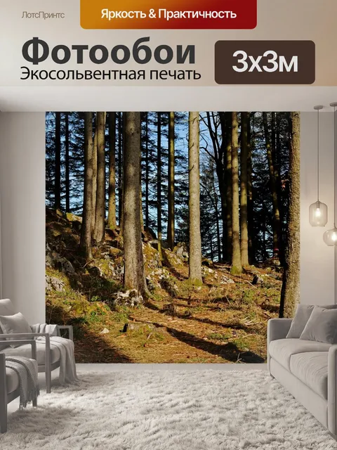 Фотообои Лес