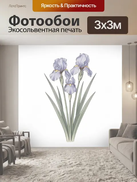 300 × 300 см · Экосольвентная печать