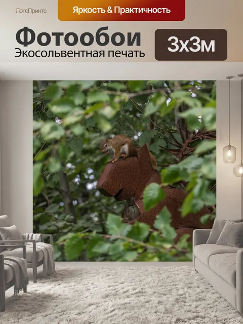 Фотообои Природа