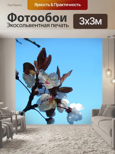 Фотообои Вишня