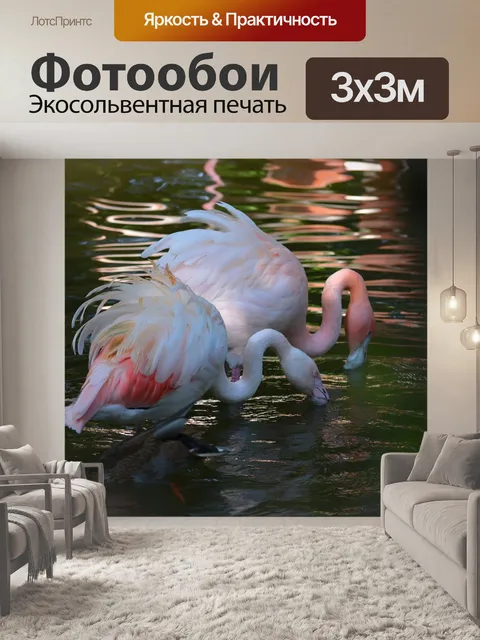 Фотообои Фламинго