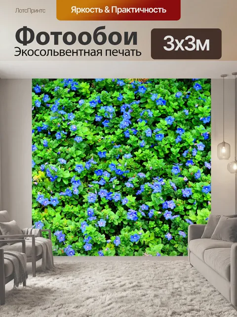 Фотообои Красивая клумба цветов
