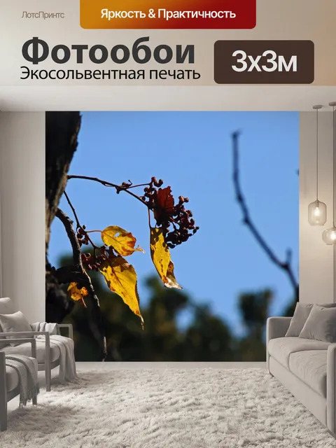 Фотообои солнечный свет на желтых листьях и плода