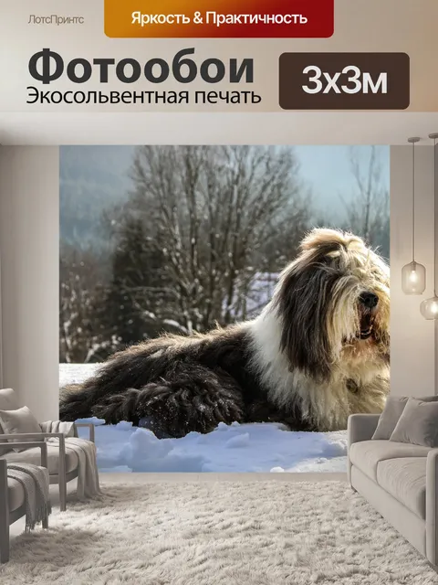 Фотообои Зима