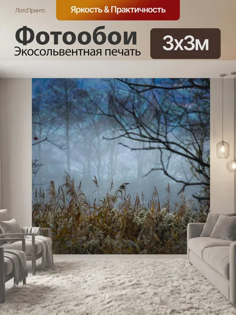 Фотообои Лес