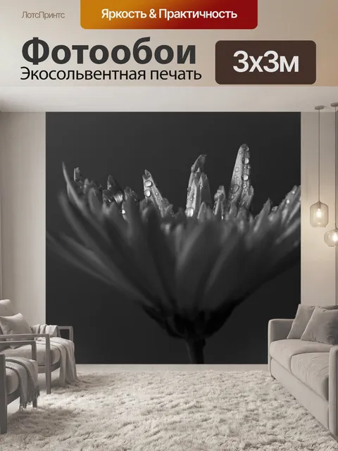 Фотообои Цветок