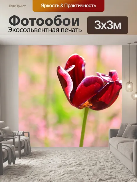 Фотообои Тюльпан