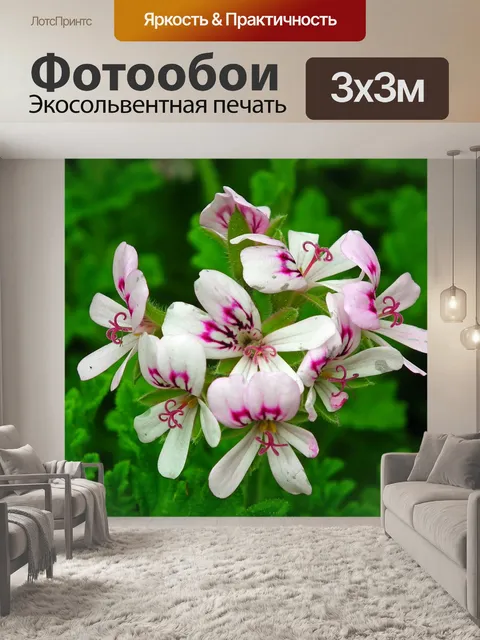 Фотообои Цветы