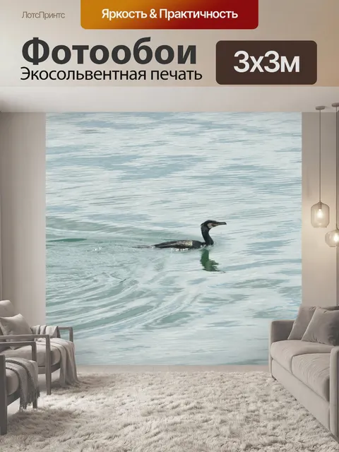 Фотообои Баклан на воде