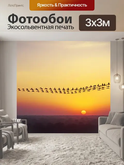 Фотообои птицы, выстраивающиеся в v-образный клин при восходе солнца