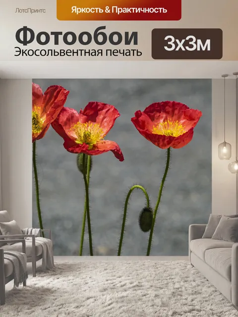 Фотообои маковые анемоны