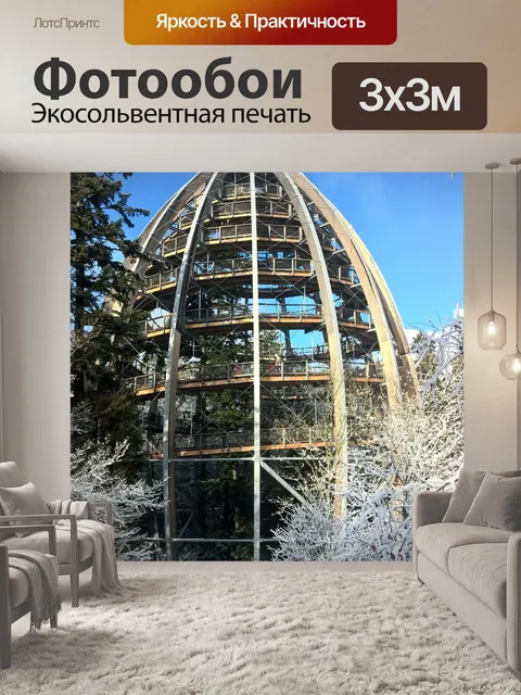 Фотообои Лес