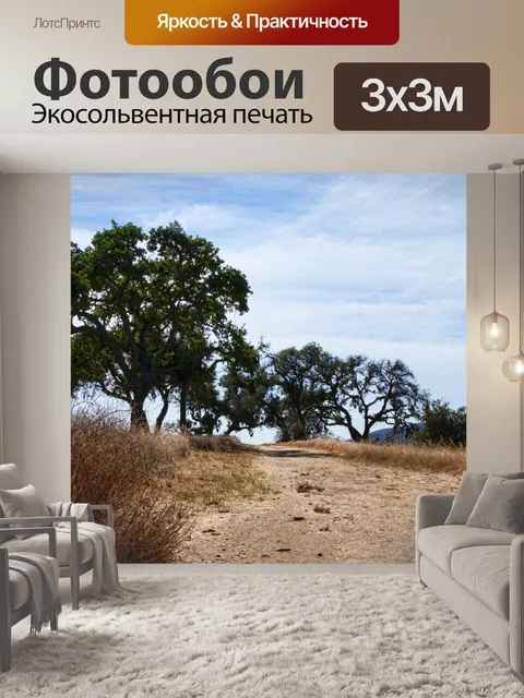 Фотообои Грязевой путь между дубовыми деревьями