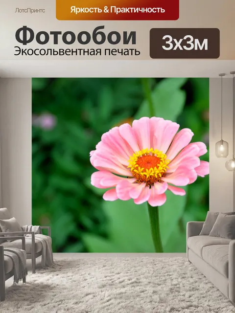 Фотообои Яркий цветной цветок