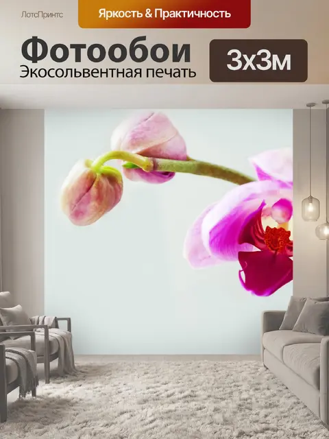 Фотообои Орхидея