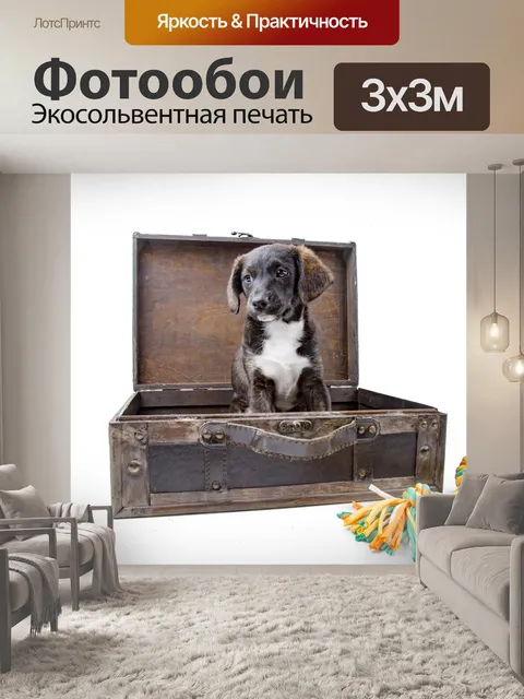 Фотообои Щенок с чемоданом