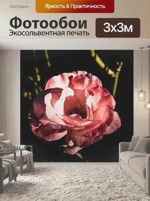 Фотообои Розовый