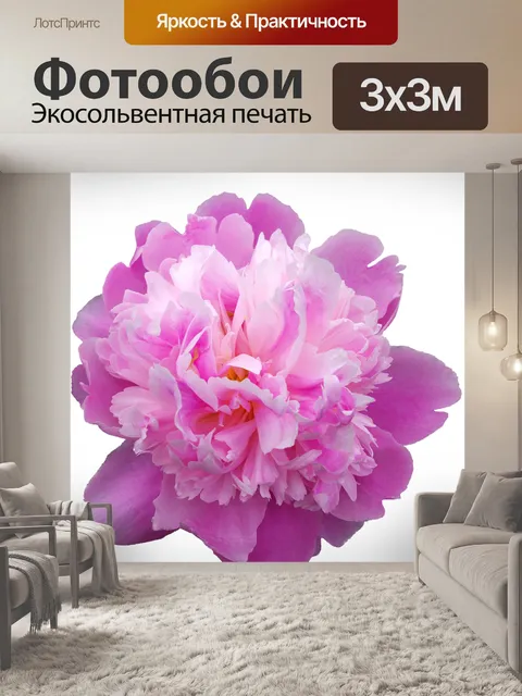 Фотообои Пион