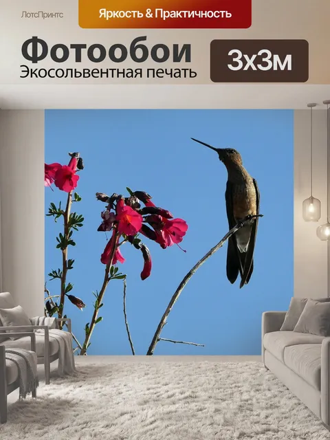 Фотообои Птицы
