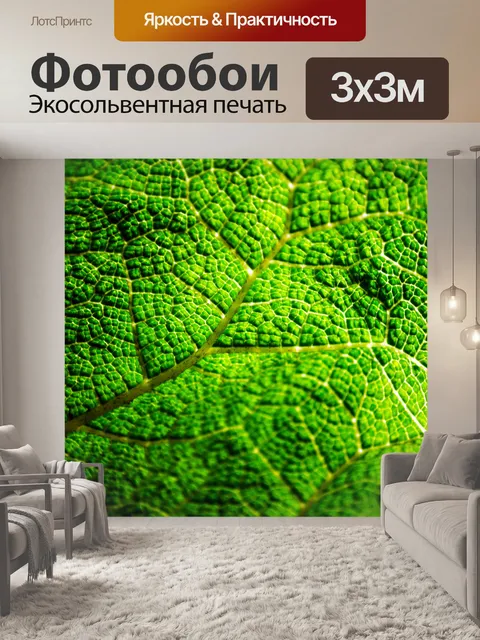Фотообои Зеленый лист