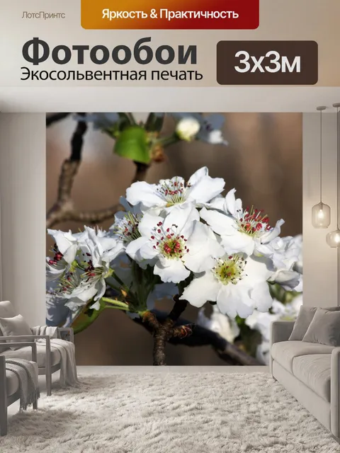 Фотообои Весна груши весной