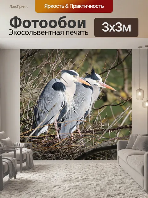 Фотообои Цапли