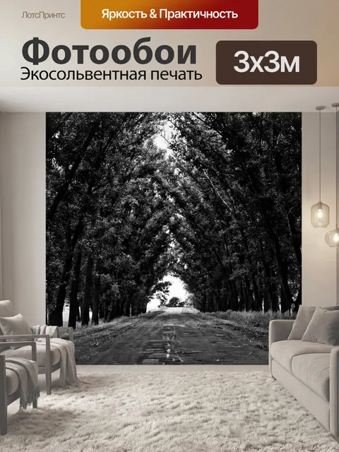 Фотообои Дорога с туннелем деревьев