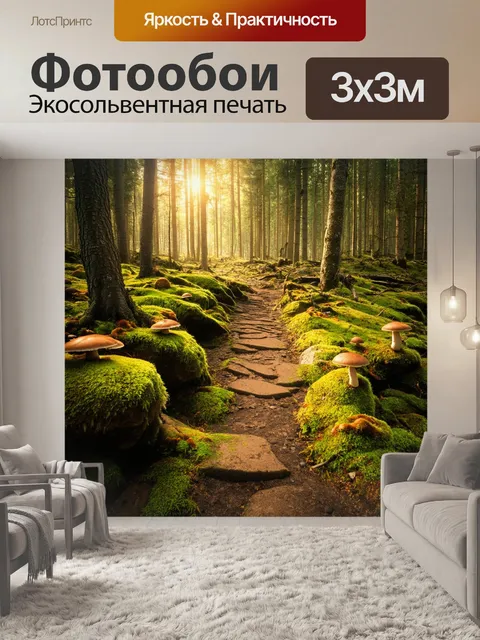 Фотообои лесная тропа, ведущая к скрытому озеру в карелии, окруженная мшистыми камнями и яркими грибами
