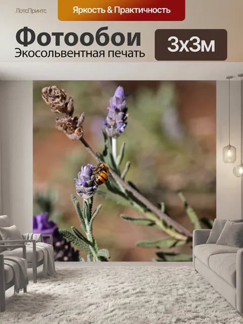 Фотообои медоносная пчела на цветке лаванды