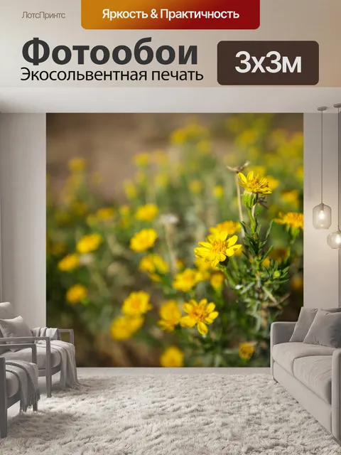 Фотообои Золотые Полевые цветы в Калифорнии