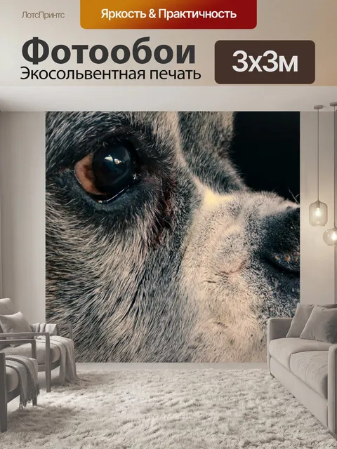 Фотообои Собака