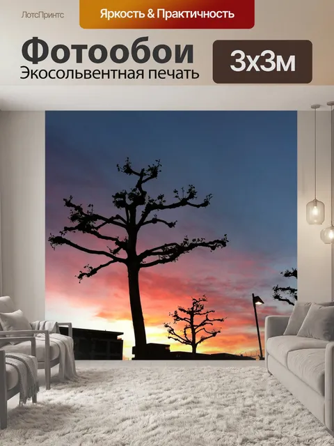 Фотообои Заход солнца