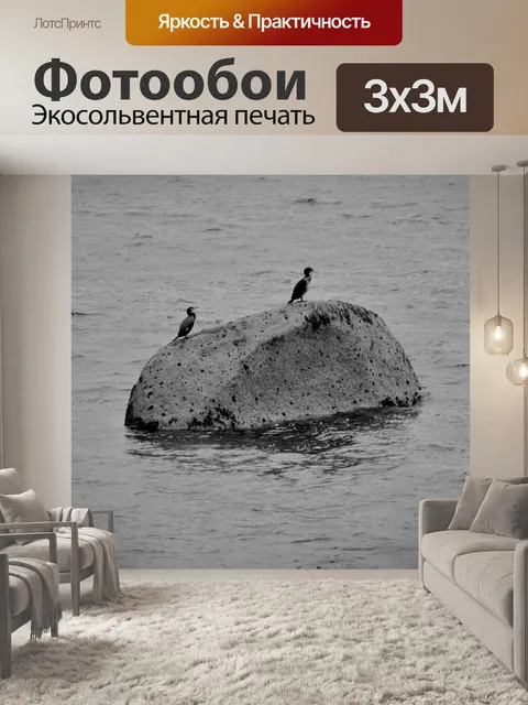 Фотообои Бакланы ОТДЫХАТЬ