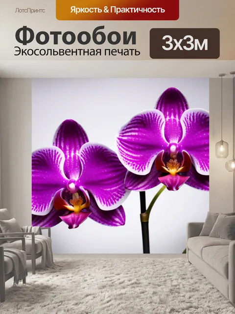 Фотообои с орхидеями минимал